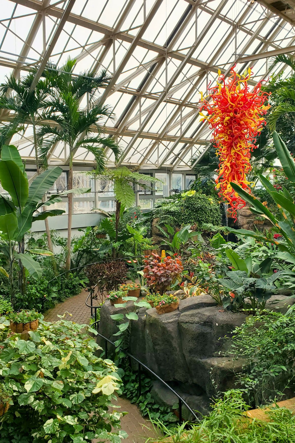 yellow and red glass squiggly sculpture hanging from the ceiling in a plant biome at Franklin Park Conservatory