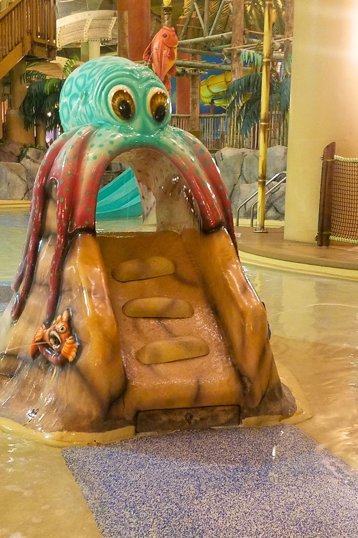 Castaway Bay octopus kids water slide
