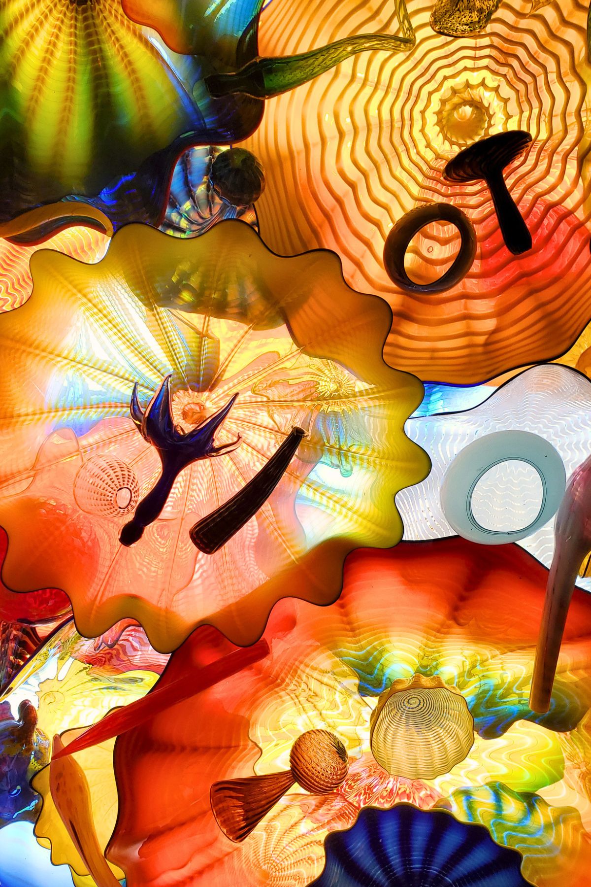 glass ceiling art in Franklin Park Conservatory