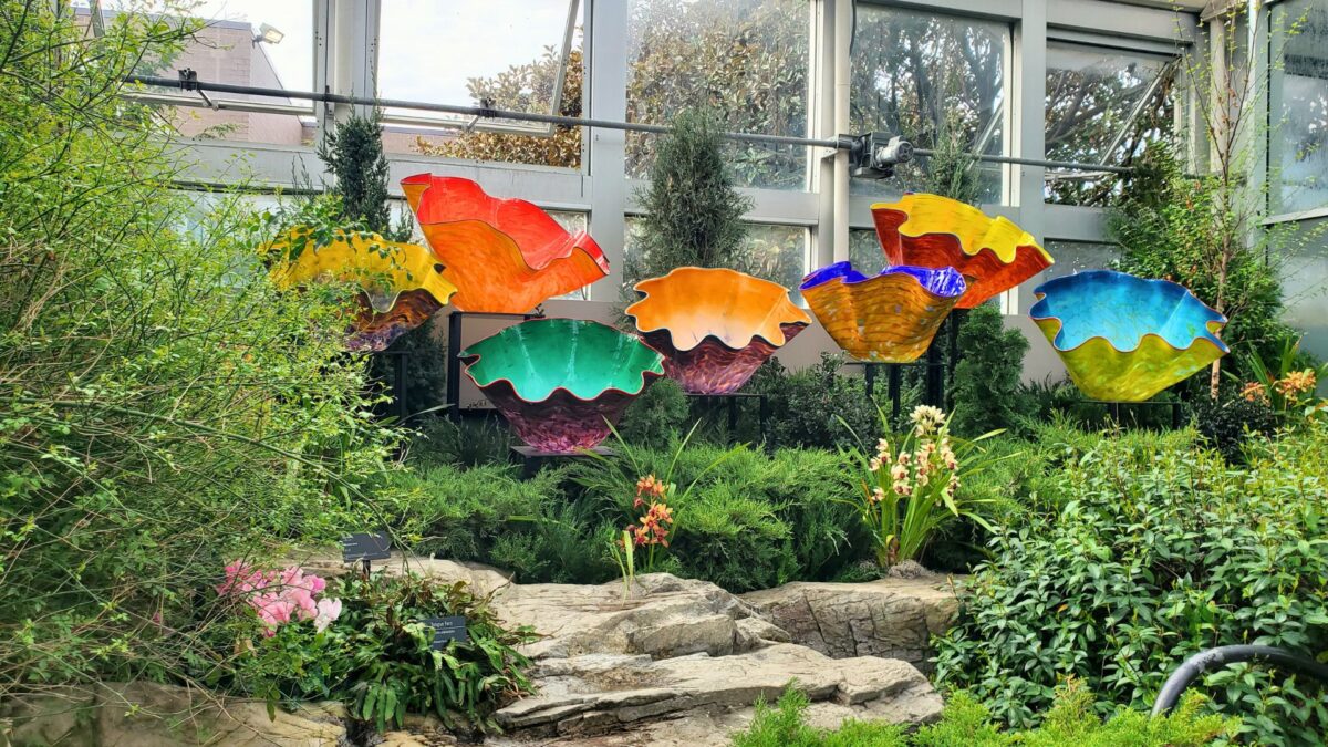 colorful glass bowls with ripple edges in a row in a plant biome