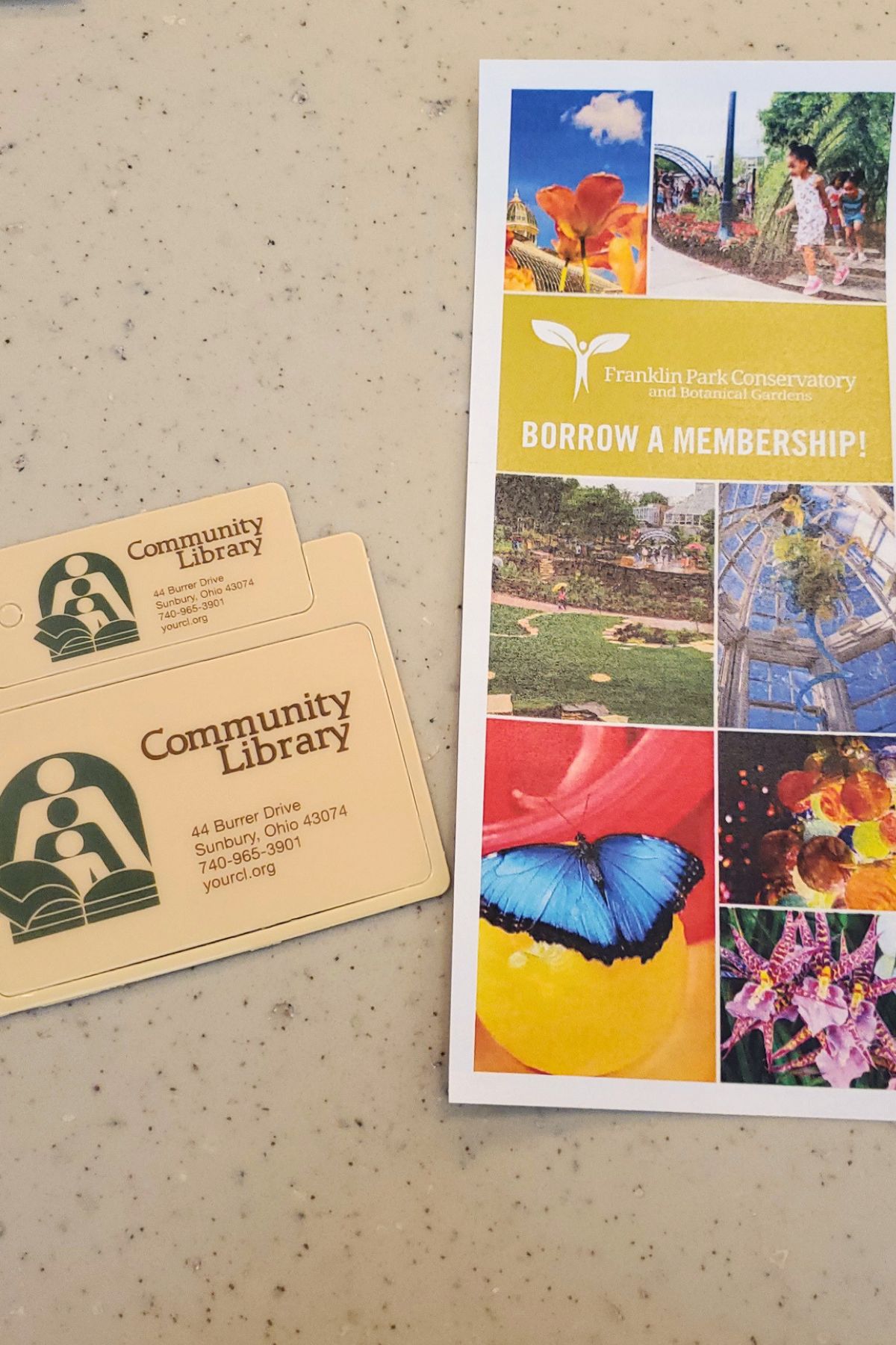 library card next to a borrow a membership pamphlet on a table