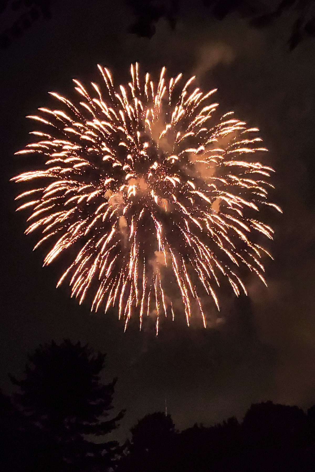 firework in the air at night