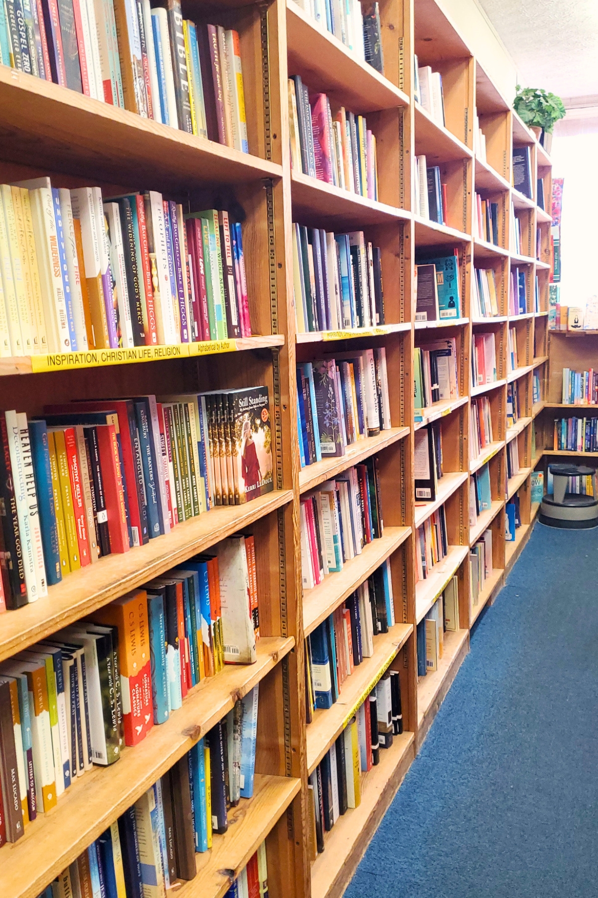 library books on shelves