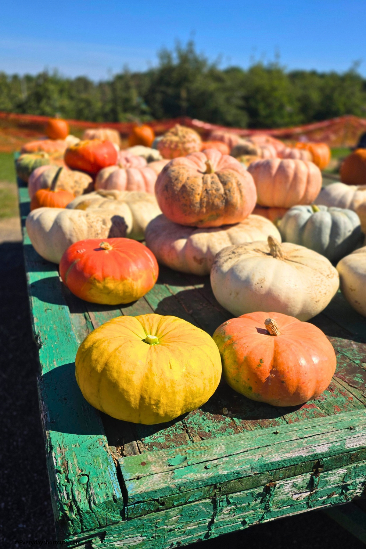 orange, yellow, white and green pumpkins on a green wagon
